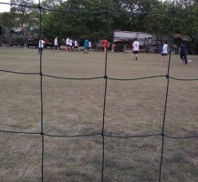 Lưới bóng đá Anh Việt 7 người 164520