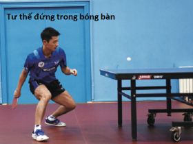 Học bóng bàn cơ bản cần nắm được lý thuyết, thực hành như thế nào? Học bóng bàn cơ bản cần nắm được lý thuyết, thực hành như thế nào?