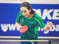 Các kích thước bàn bóng bàn và cách dùng hiệu quả Các kích thước bàn bóng bàn và cách dùng hiệu quả