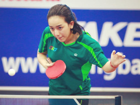 Hướng dẫn kỹ thuật đánh bóng bàn cơ bản cho tân binh  Hướng dẫn kỹ thuật đánh bóng bàn cơ bản cho tân binh