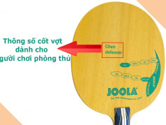 Hướng dẫn cách làm vợt bóng bàn đơn giản, chi tiết Hướng dẫn cách làm vợt bóng bàn đơn giản, chi tiết