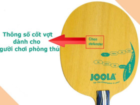Cách chọn vợt bóng bàn phù hợp nhất cho từng đối tượng chơi Cách chọn vợt bóng bàn phù hợp nhất cho từng đối tượng chơi