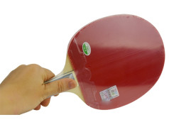 Hướng Dẫn Cách Chọn Mặt Vợt Bóng Bàn Chuẩn Xác Nhất Hướng Dẫn Cách Chọn Mặt Vợt Bóng Bàn Chuẩn Xác Nhất