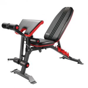 Ghế tập Gym đa năng DDS-1205