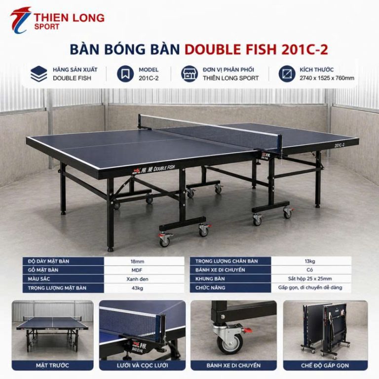 Hình ảnh Bàn bóng bàn Double Fish DF 201C