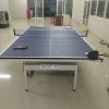 Bàn bóng bàn Vinasport MDF-04