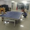 Bàn bóng bàn Vinasport MDF-04