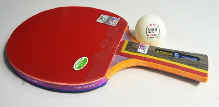Hình ảnh Vợt bóng bàn 729 2040