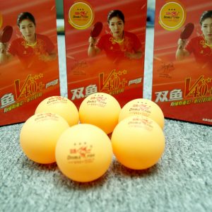 Hộp quả bóng bàn Double Fish V40+