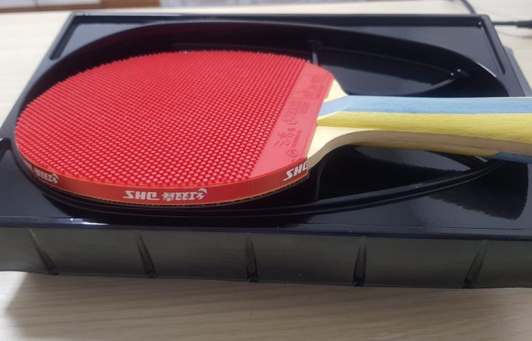Hình ảnh Vợt bóng bàn mút DHS 6003