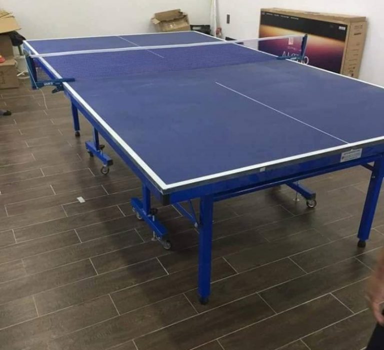 Bàn bóng bàn Đức Long PT-07