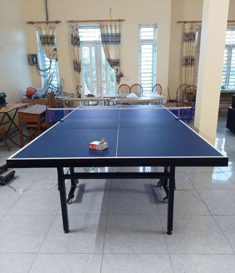 Bàn đánh bóng bàn