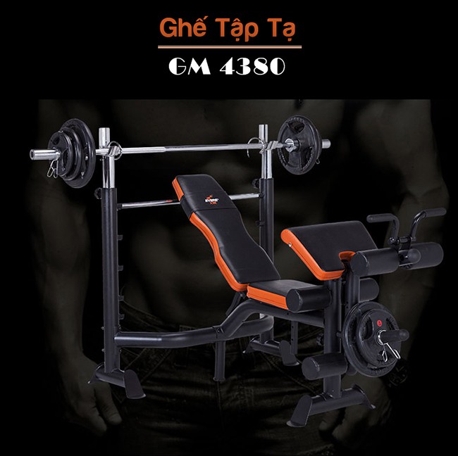 Thiết kế ghế tập tạ GM 4380