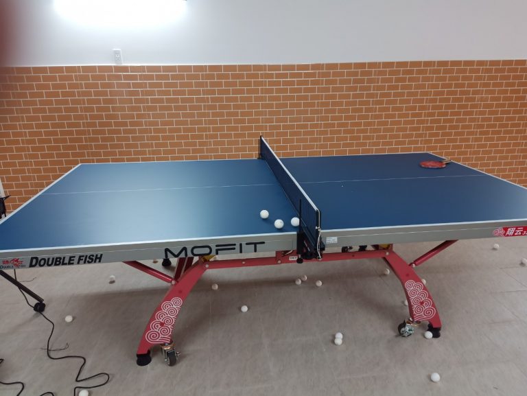 Hình ảnh bàn bóng bàn Double Fish DF-328