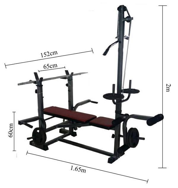 Kích thước ghế tạ xuki 2021