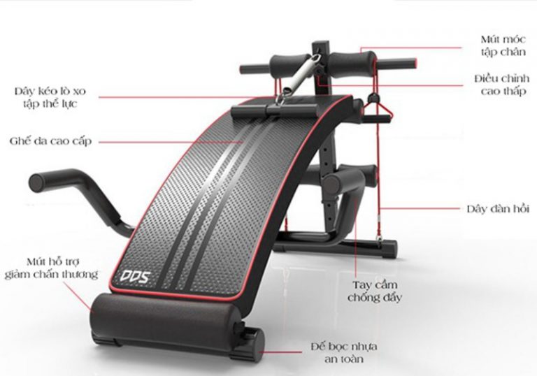Ghế tập bụng DDS-104
