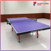 Bàn bóng bàn Rainbow TL-232