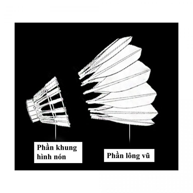 Cấu tạo quả cầu lông gồm phần đế và tán cầu