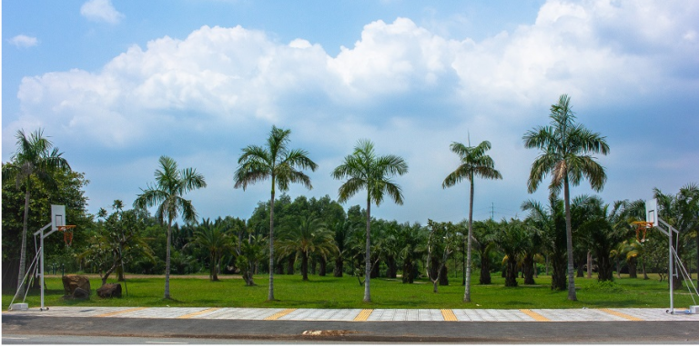 Ảnh tham khảo sân bóng rổ và khu vực chơi