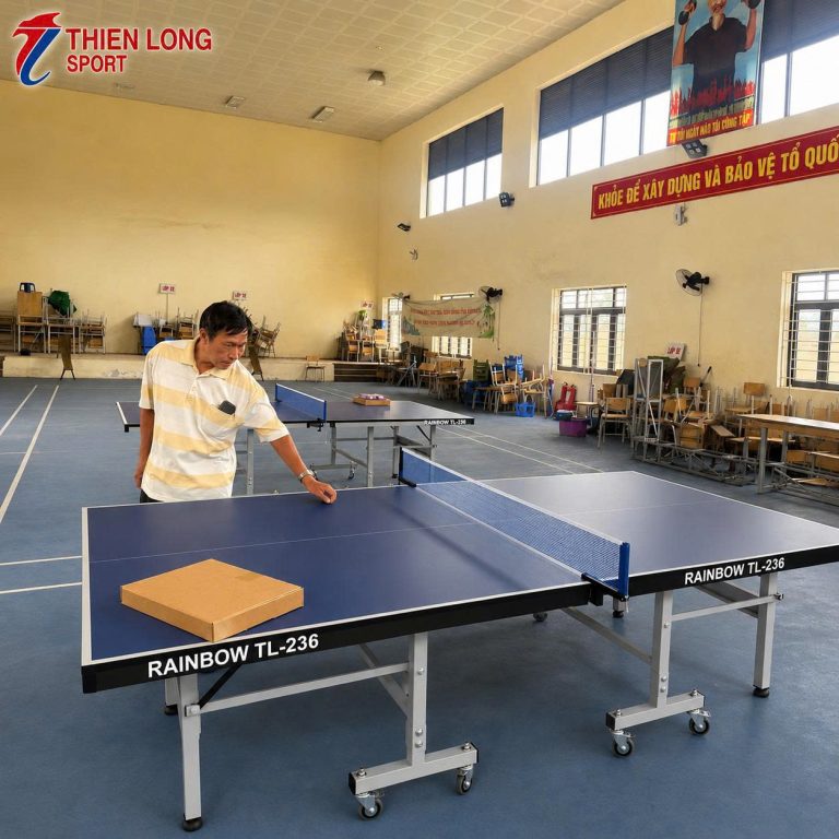 Hình ảnh Bàn bóng bàn Rainbow TL-236