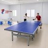 Bàn bóng bàn nhập khẩu gỗ MDF 25 ly DA-004