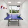 Bàn bóng bàn nhập khẩu gỗ MDF 25 ly DA-004