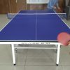 Bàn bóng bàn nhập khẩu gỗ MDF 25 ly DA-004