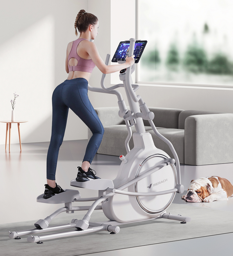 Hình ảnh Xe đạp thể dục Elliptical K50