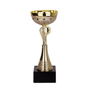 Cúp lưu niệm MLG0002