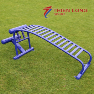 Ghế tập lưng bụng đơn NT-511