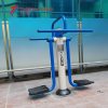 Máy tập lưng eo đôi Vifa Sport VF-711322