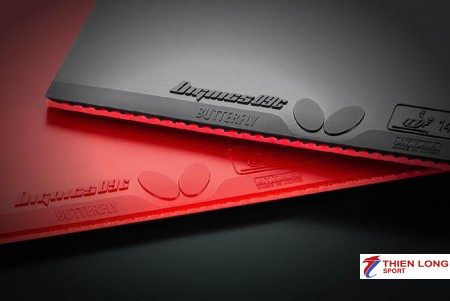 Dignics 09c có phù hợp với người chơi trình trung bình