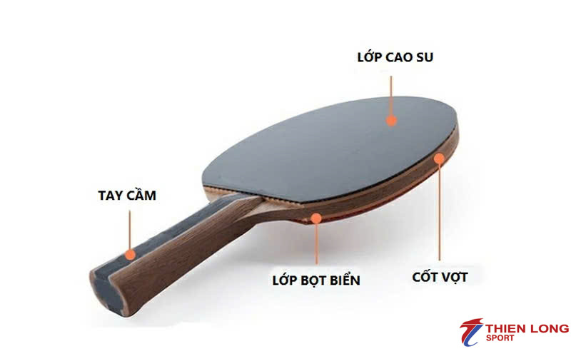 Mặt vợt bóng bàn tốc độ cao được cấu tạo như thế nào