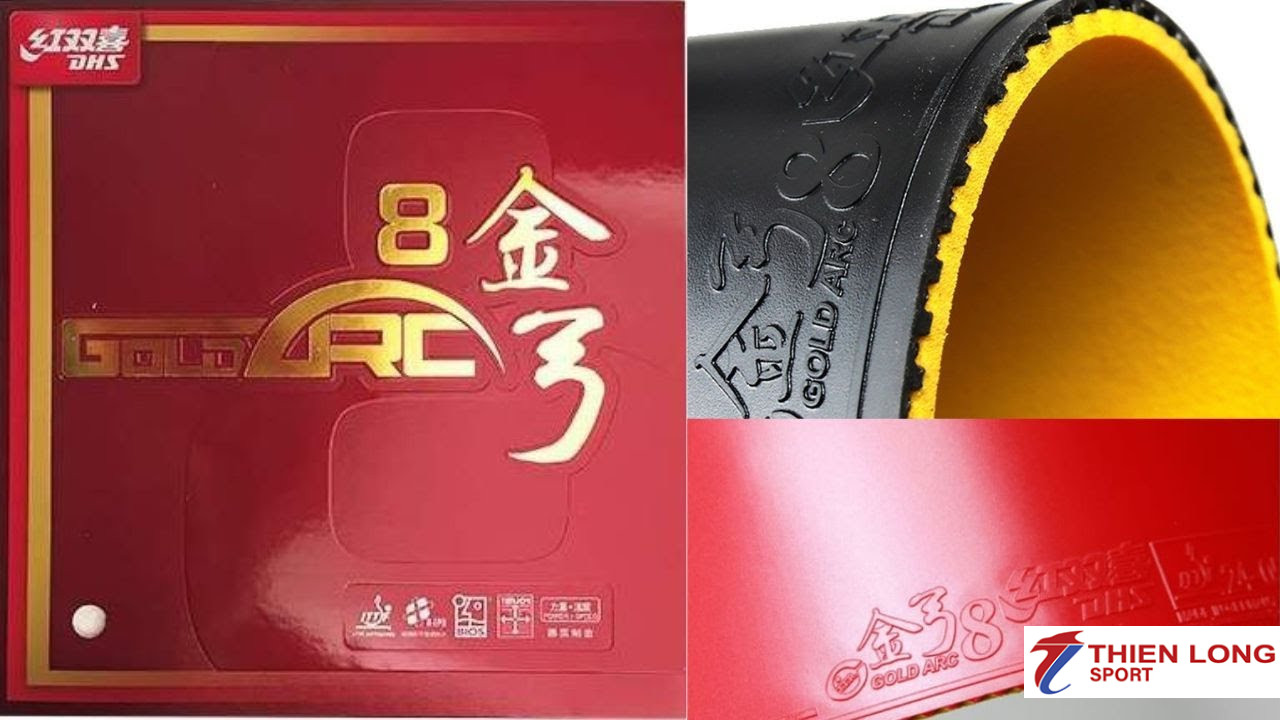 Trải nghiệm thực tế khi đánh vợt bóng bàn Gold Arc 8