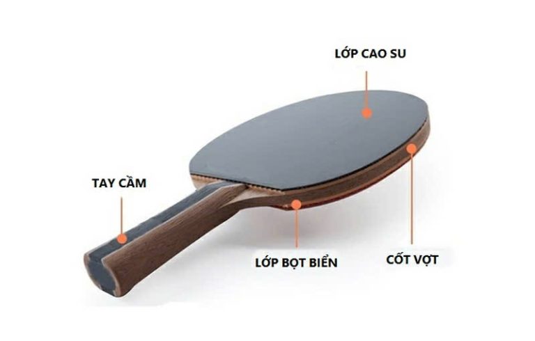 Cấu Tạo Cốt Vợt