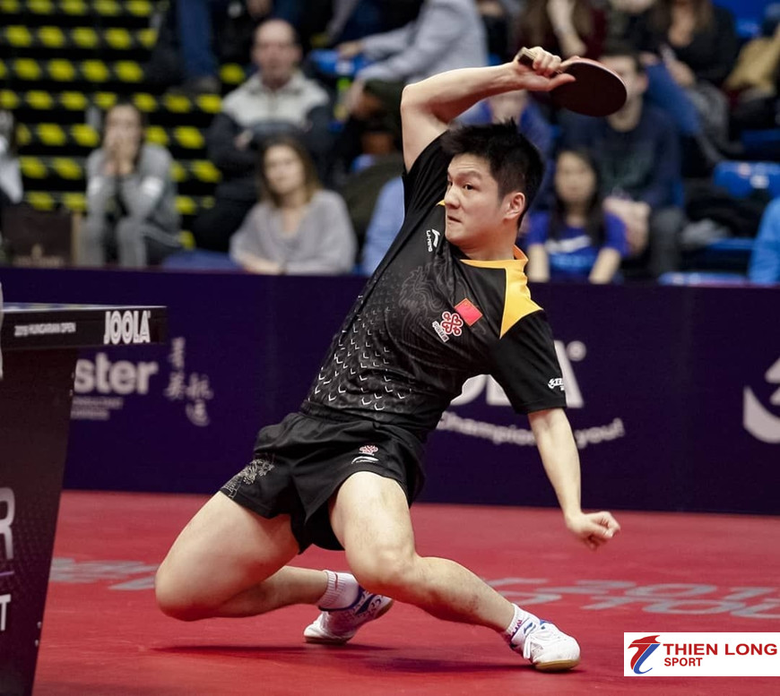 Fan Zhendong Bóng Bàn
