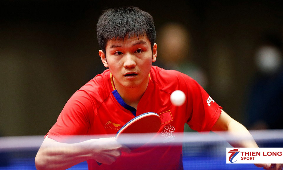 Fan Zhendong Bóng Bàn