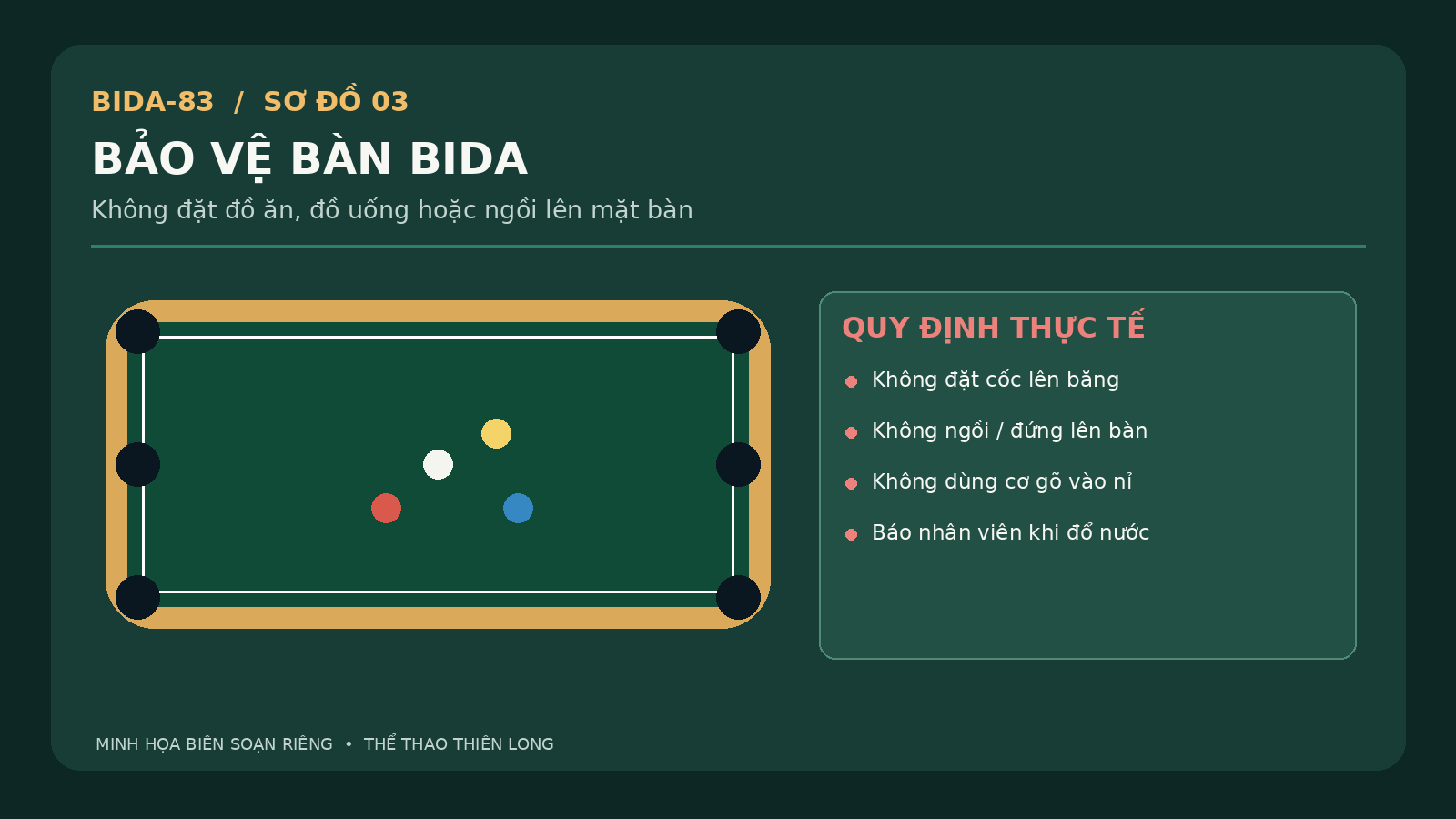 Minh họa bảo vệ nỉ và băng bàn bida bằng quy tắc không đặt nước, ngồi lên bàn hoặc gõ cơ